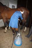 paardenmelkerij